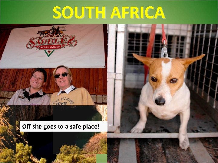 SOUTH AFRICA Buy gas, get groceries Ask for help Off she goes to about