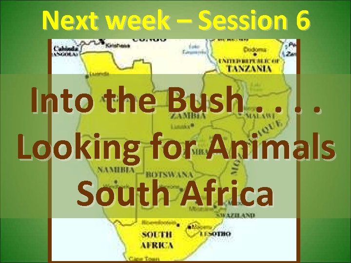 Next week – Session 6 Into the Bush. . Looking for Animals South Africa