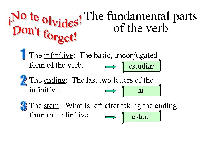 The fundamental parts of the verb The infinitive: The basic, unconjugated form of the