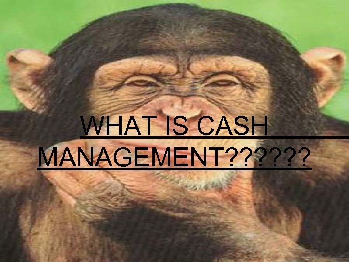 WHAT IS CASH MANAGEMENT? ? ? 
