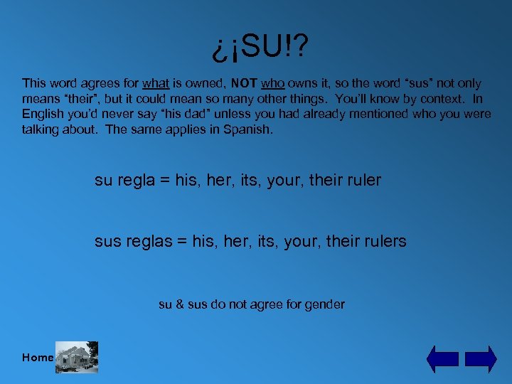 ¿¡SU!? This word agrees for what is owned, NOT who owns it, so the