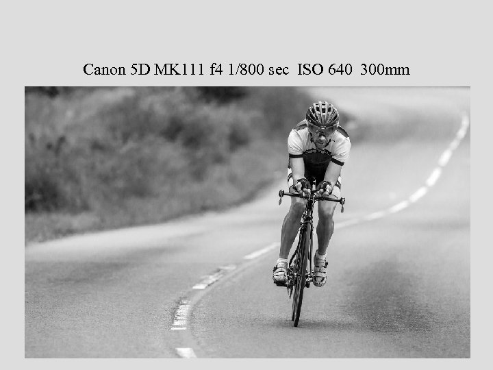 Canon 5 D MK 111 f 4 1/800 sec ISO 640 300 mm 