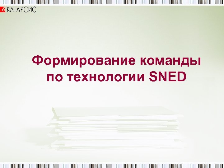 Формирование команды по технологии SNED 