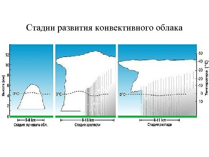 Стадии развития конвективного облака 
