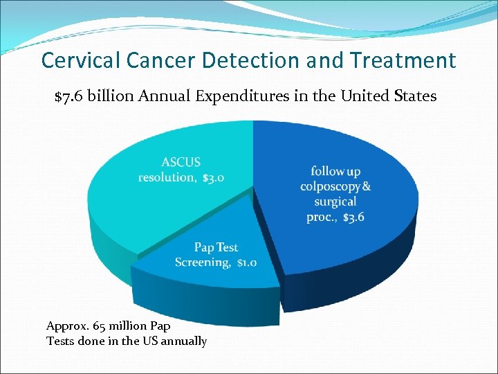 Cervical Cancer Detection and Treatment $7. 6 billion Annual Expenditures in the United States