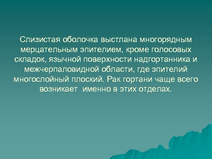 Слизистая оболочка выстлана многорядным мерцательным эпителием, кроме голосовых складок, язычной поверхности надгортанника и межчерпаловидной