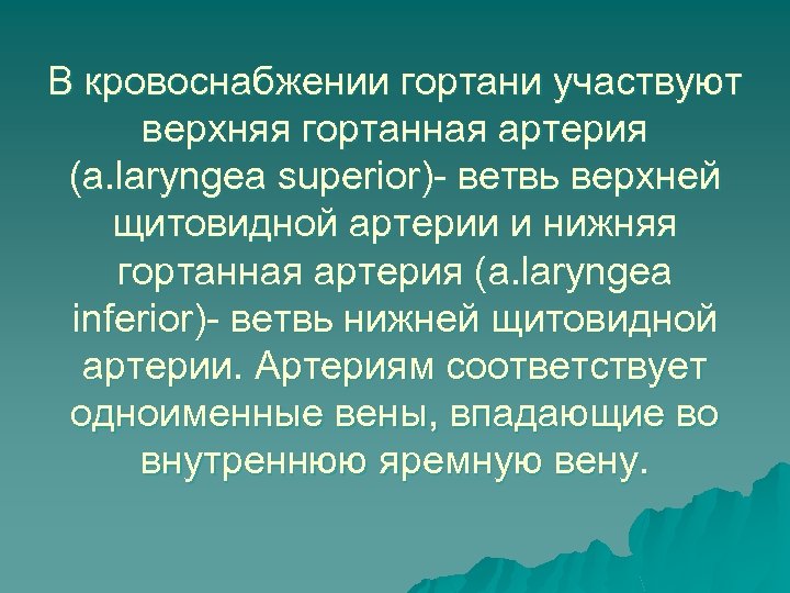 В кровоснабжении гортани участвуют верхняя гортанная артерия (a. laryngea superior)- ветвь верхней щитовидной артерии