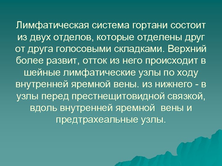 Лимфатическая система гортани состоит из двух отделов, которые отделены друг от друга голосовыми складками.