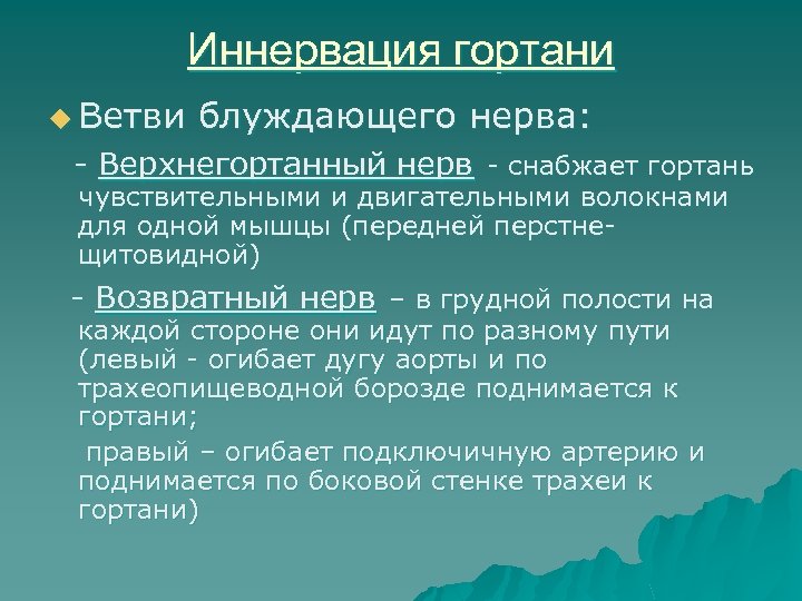 Иннервация гортани u Ветви блуждающего нерва: - Верхнегортанный нерв - снабжает гортань чувствительными и