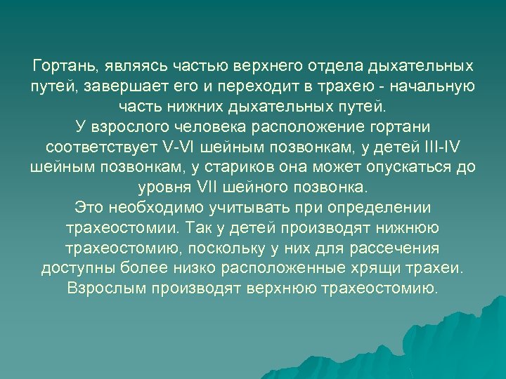 Гортань, являясь частью верхнего отдела дыхательных путей, завершает его и переходит в трахею -