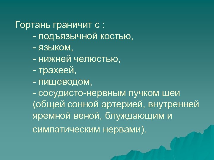 Гортань граничит с : - подъязычной костью, - языком, - нижней челюстью, - трахеей,