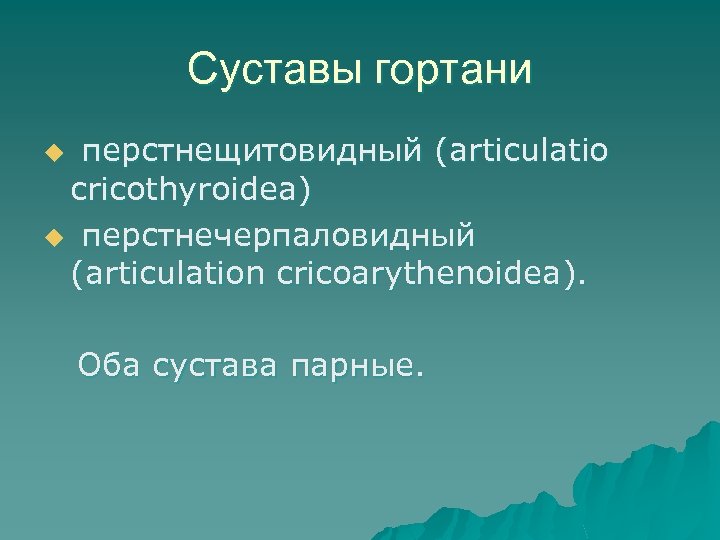 Суставы гортани перстнещитовидный (articulatio cricothyroidea) u перстнечерпаловидный (articulation cricoarythenoidea). u Оба сустава парные. 