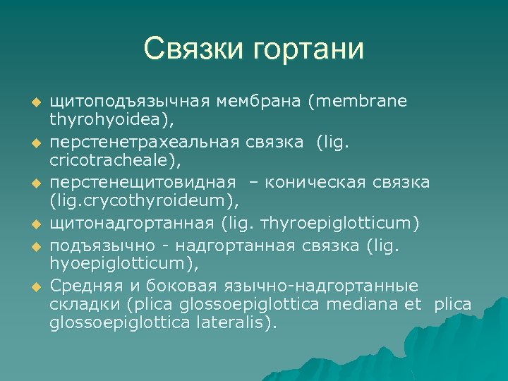 Связки гортани u u u щитоподъязычная мембрана (membrane thyrohyoidea), перстенетрахеальная связка (lig. cricotracheale), перстенещитовидная