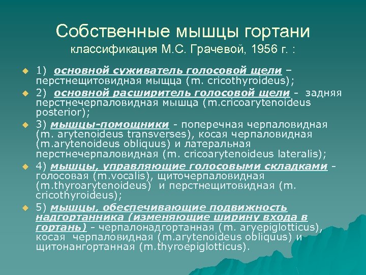 Собственные мышцы гортани классификация М. С. Грачевой, 1956 г. : u u u 1)