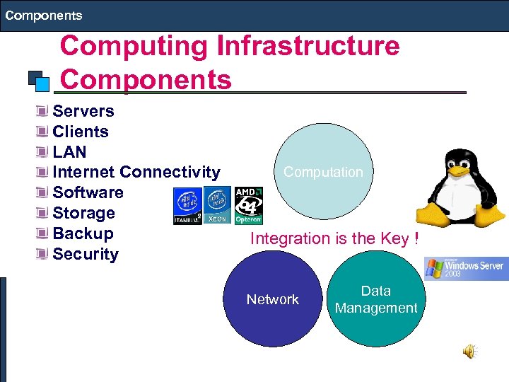 Components Computing Infrastructure Components Servers Clients LAN Internet Connectivity Software Storage Backup Security Computation
