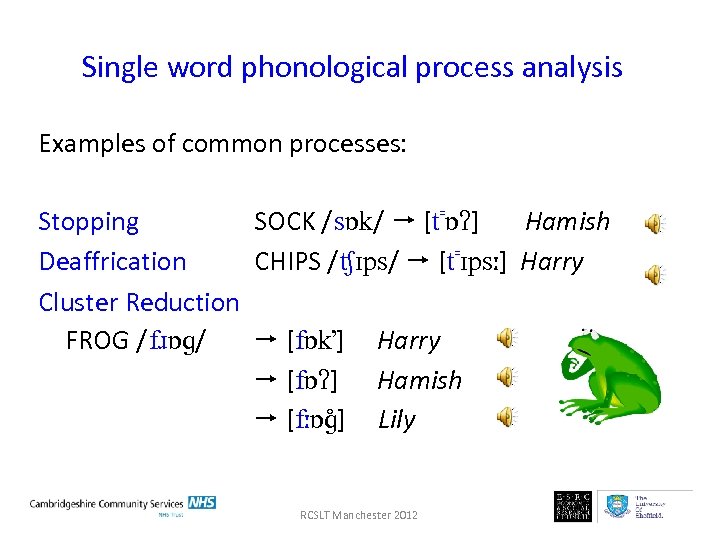 Single word phonological process analysis Examples of common processes: Stopping SOCK /sɒk/ [t⁼ɒʔ] Hamish