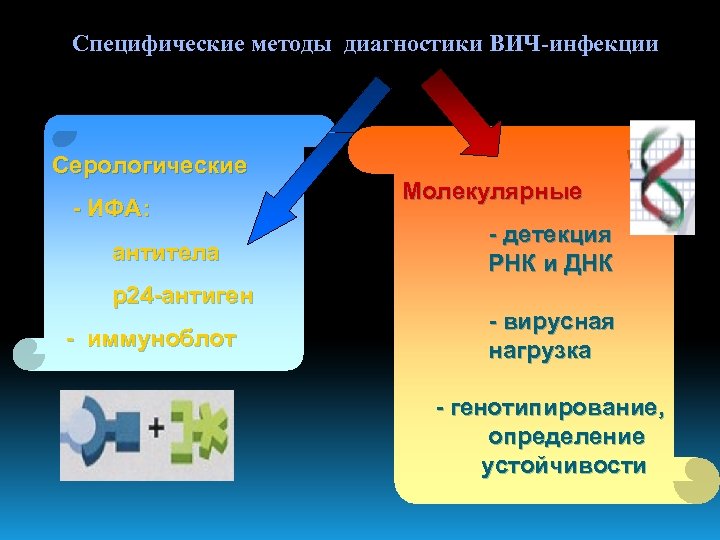 Специфические методы диагностики ВИЧ-инфекции Серологические - ИФА: антитела р24 -антиген - иммуноблот Молекулярные -