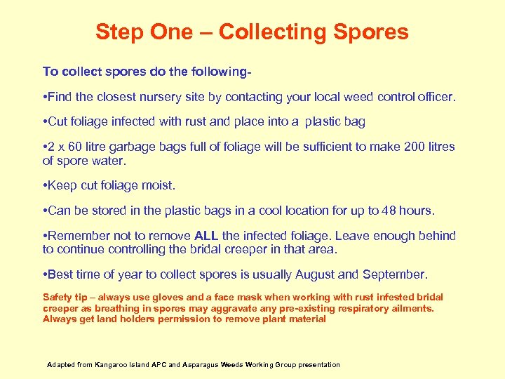 Step One – Collecting Spores To collect spores do the following- • Find the