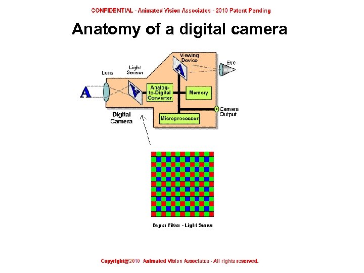 Anatomy of a digital camera 