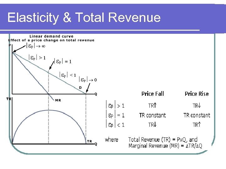 Elasticity & Total Revenue 
