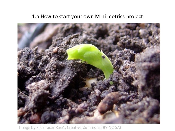 1. a How to start your own Mini metrics project Image by Flickr user