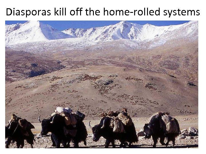 Diasporas kill off the home-rolled systems 