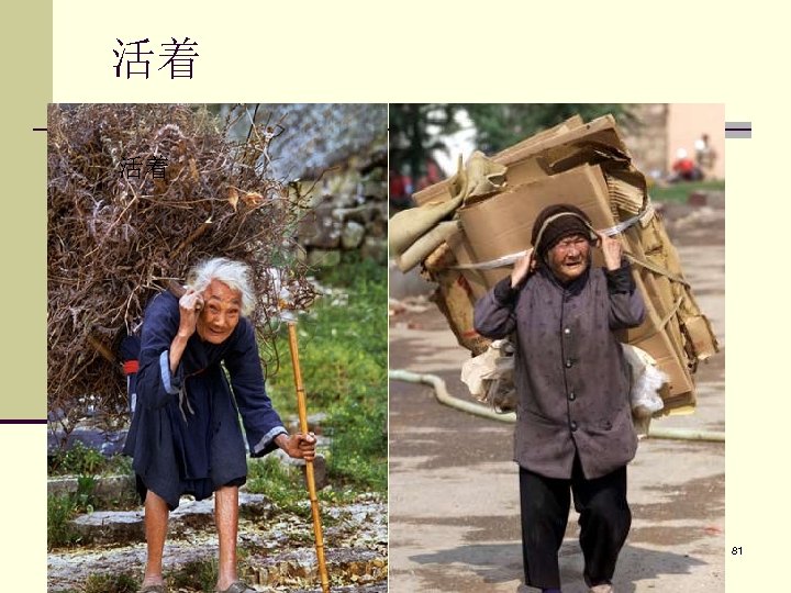  活着 活着 81 