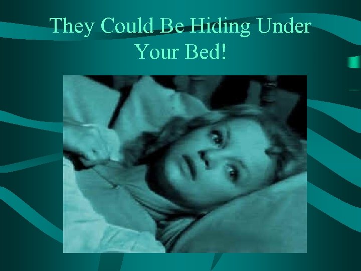 They Could Be Hiding Under Your Bed! 