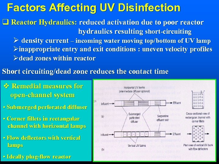 Factors Affecting UV Disinfection q Reactor Hydraulics: reduced activation due to poor reactor hydraulics