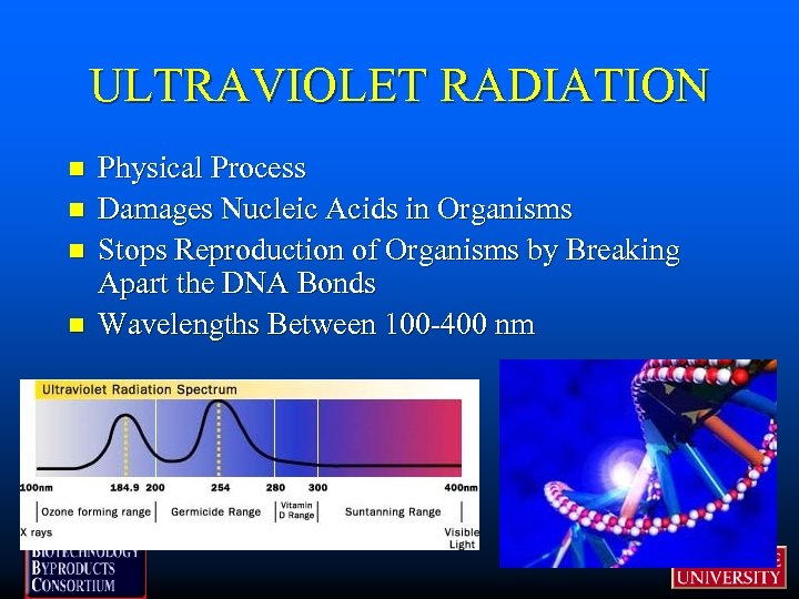 ULTRAVIOLET RADIATION n n Physical Process Damages Nucleic Acids in Organisms Stops Reproduction of