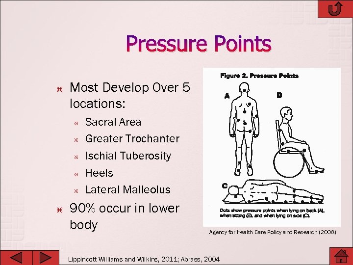 Pressure Points Most Develop Over 5 locations: Sacral Area Greater Trochanter Ischial Tuberosity Heels