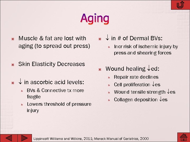 Aging Muscle & fat are lost with aging (to spread out press) Skin Elasticity