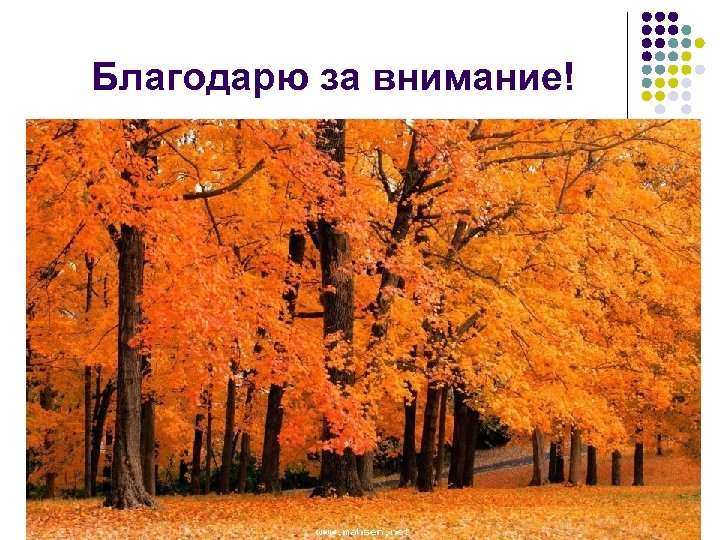 Благодарю за внимание! 