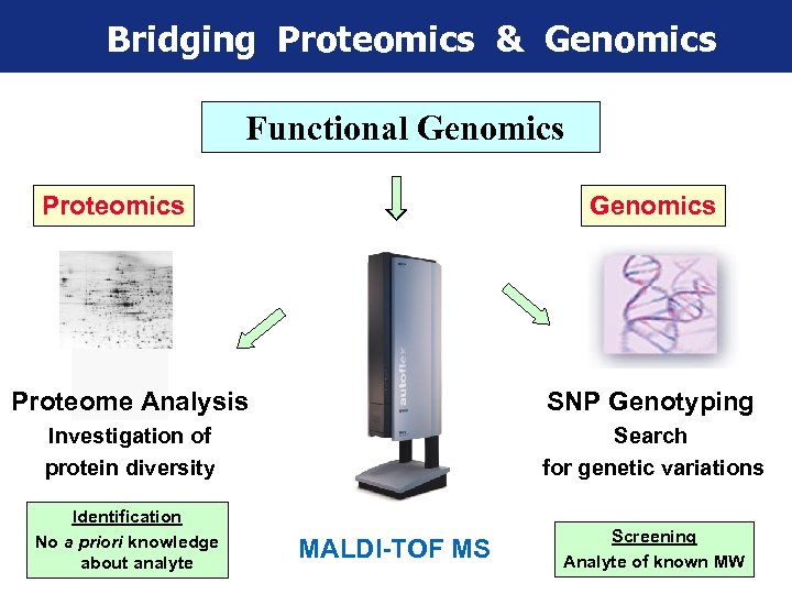 Bridging Proteomics & Genomics Functional Genomics Proteomics Genomics MALDI-TOF Mass Spectrometry Proteome Analysis SNP