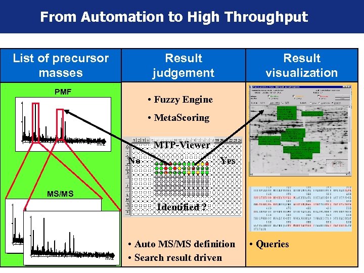 From Automation to High Throughput List of precursor masses Result judgement PMF Result visualization