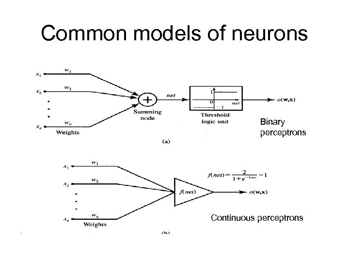 Common models of neurons Binary perceptrons Continuous perceptrons 