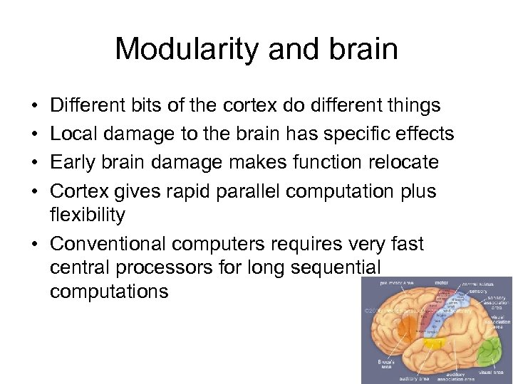 Modularity and brain • • Different bits of the cortex do different things Local