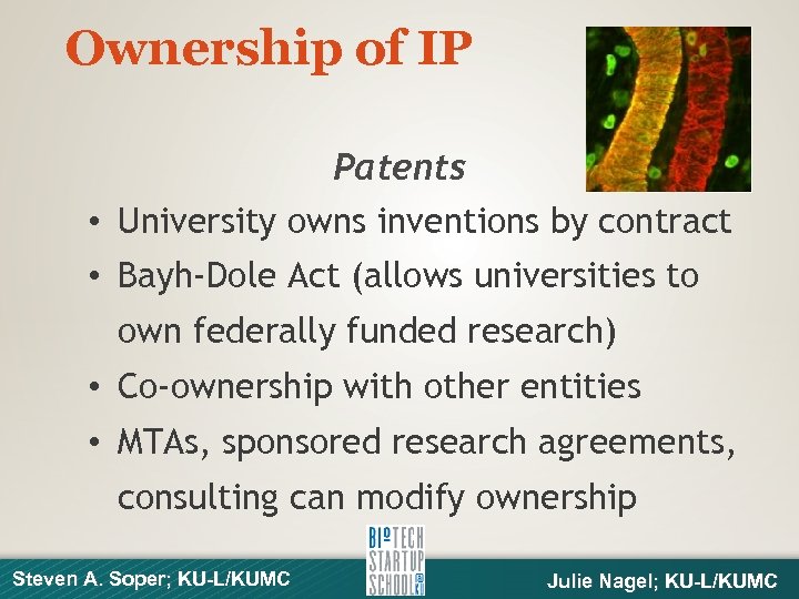 Ownership of IP Patents • University owns inventions by contract • Bayh-Dole Act (allows