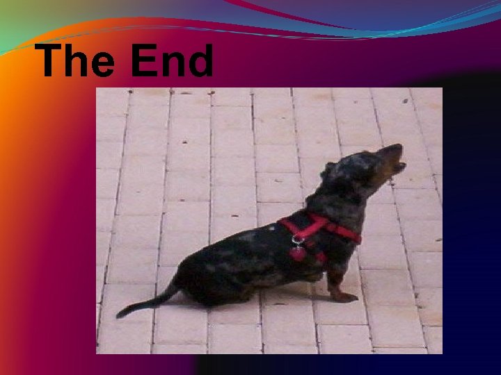 The End 