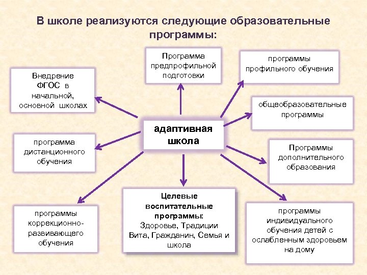 В школе реализуются следующие образовательные программы: Внедрение ФГОС в начальной, основной школах программа дистанционного