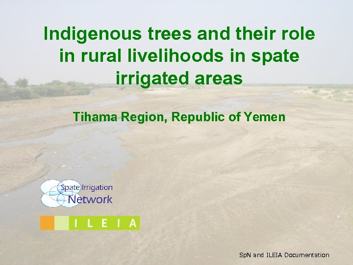 Indigenous trees and their role in rural livelihoods in spate irrigated areas Tihama Region,