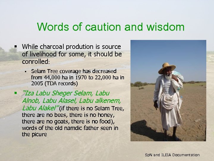 Words of caution and wisdom § While charcoal prodution is source of livelihood for