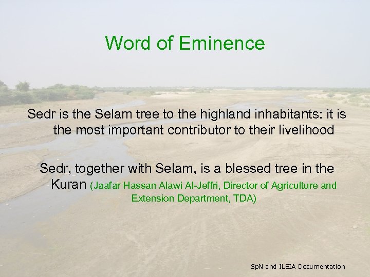 Word of Eminence Sedr is the Selam tree to the highland inhabitants: it is