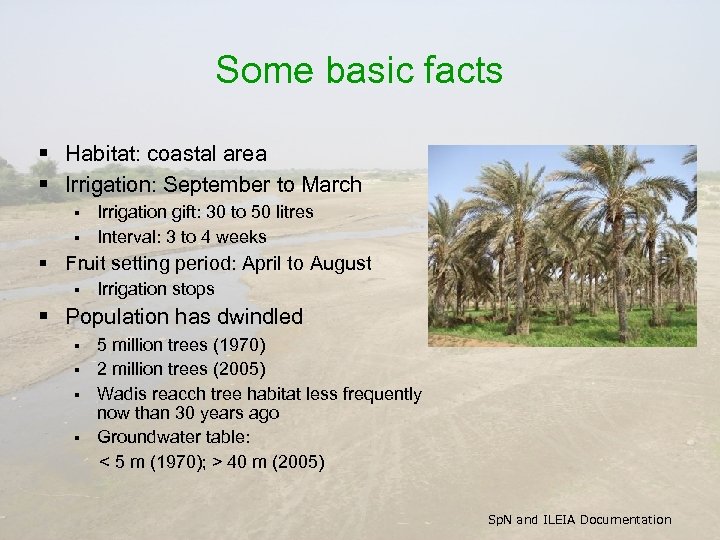 Some basic facts § Habitat: coastal area § Irrigation: September to March Irrigation gift: