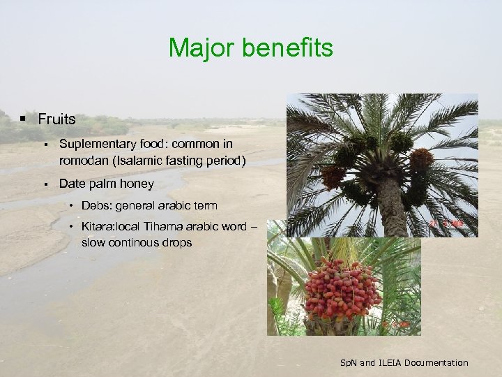 Major benefits § Fruits § Suplementary food: common in romodan (Isalamic fasting period) §