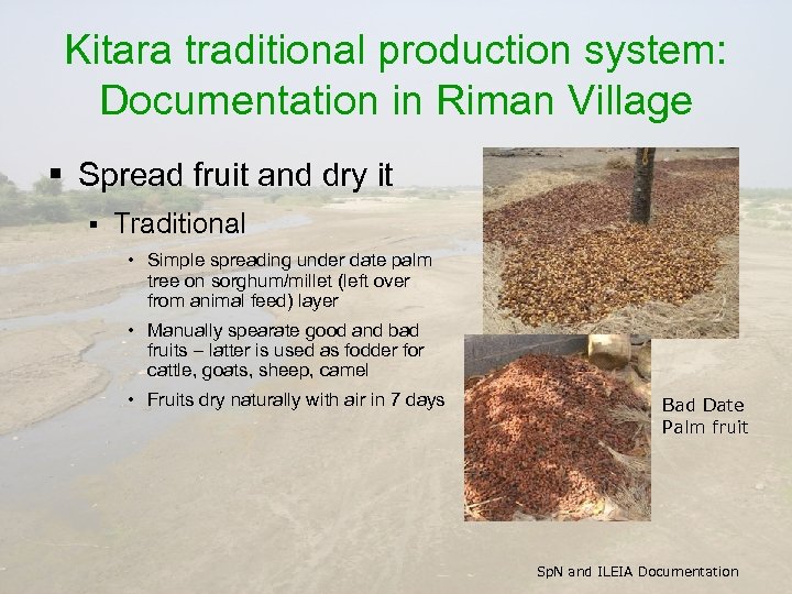 Kitara traditional production system: Documentation in Riman Village § Spread fruit and dry it