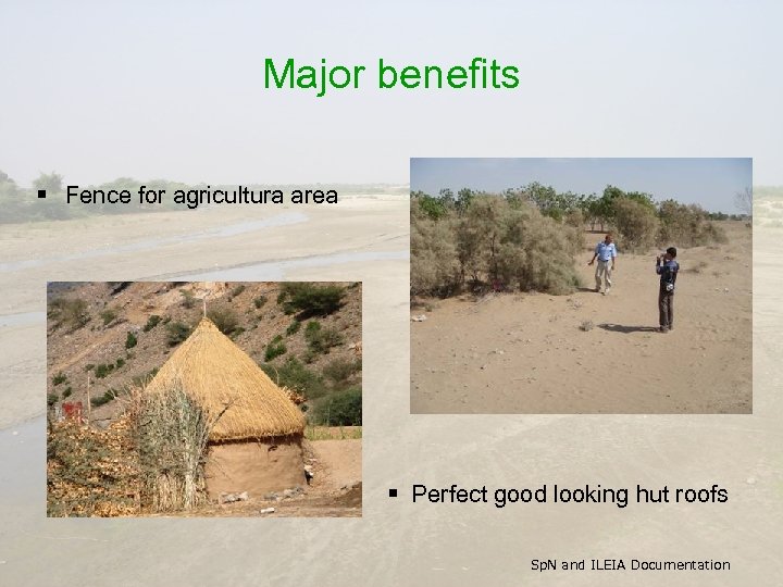 Major benefits § Fence for agricultura area § Perfect good looking hut roofs Sp.