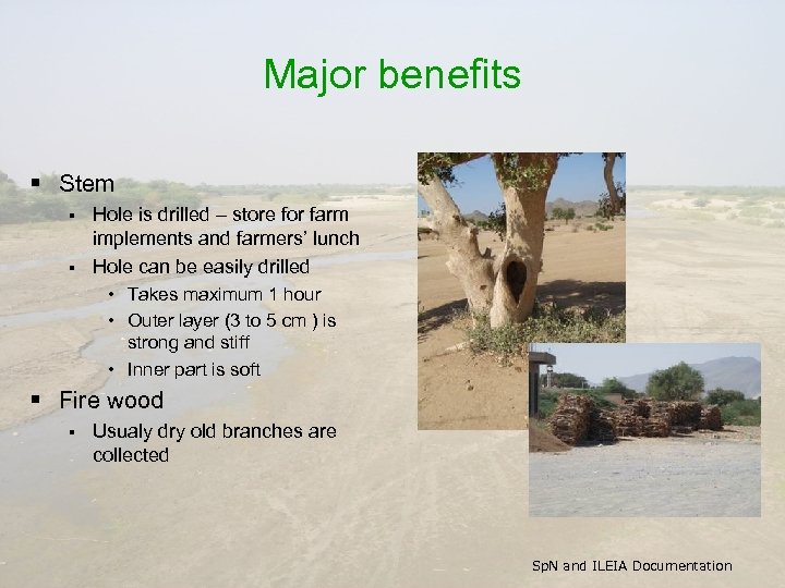 Major benefits § Stem Hole is drilled – store for farm implements and farmers’