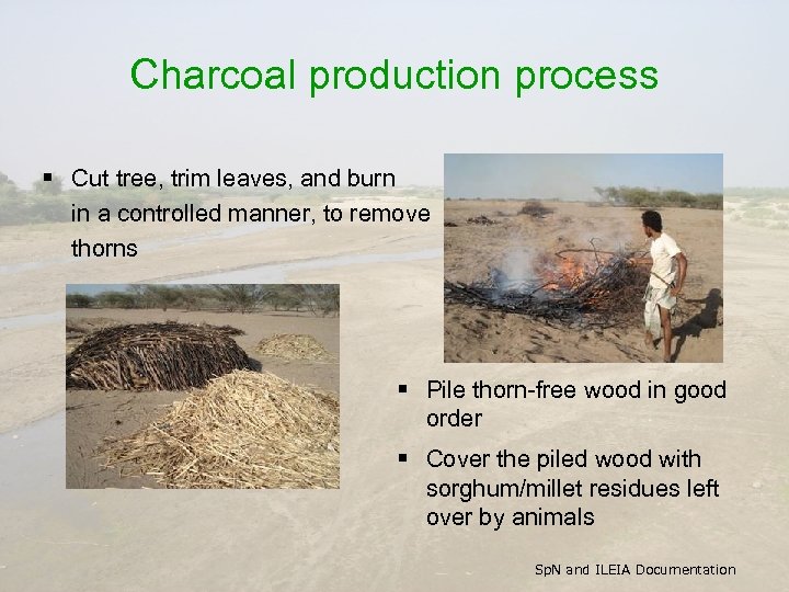 Charcoal production process § Cut tree, trim leaves, and burn in a controlled manner,