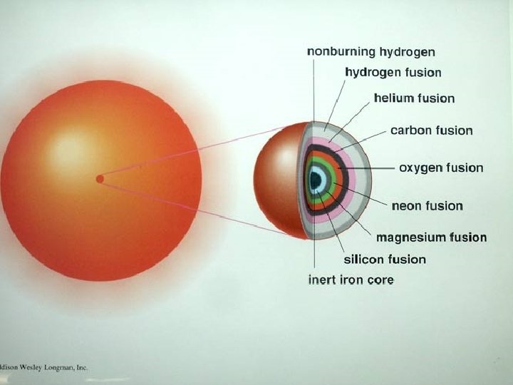 Layers of a pre SN II 